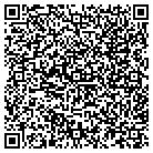 QR code with Pnm Technology Servies contacts