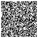 QR code with Primitive Elements contacts