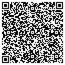 QR code with Cub Cadet of Dalton contacts