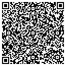 QR code with Carlton Surveyors contacts