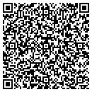 QR code with Pro Golf LLC contacts