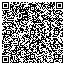 QR code with Charles A McAleer PHD contacts