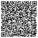 QR code with Tlg Inc contacts