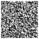 QR code with Public Works contacts