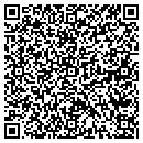 QR code with Blue Moon Productions contacts