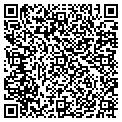 QR code with Talbots contacts
