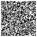 QR code with Pylon Productions contacts