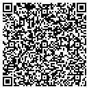 QR code with Pro Filers Inc contacts