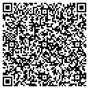 QR code with Public Library contacts