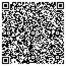 QR code with Chism Flying Service contacts