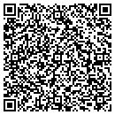 QR code with Premier Wall Service contacts