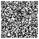 QR code with Blimpie Subs & Salads contacts