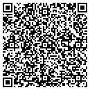 QR code with Cities In Color Inc contacts
