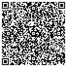 QR code with C G S Global Solution contacts