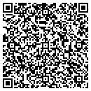 QR code with Pullian's Pet Center contacts