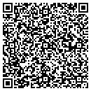 QR code with Blueiris Consulting contacts