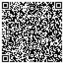QR code with Carousel Properties contacts