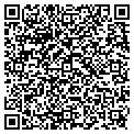 QR code with Alltel contacts