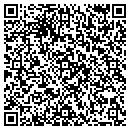 QR code with Public Library contacts