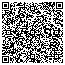 QR code with Prolific Air Systems contacts