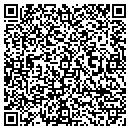 QR code with Carroll Lake Academy contacts