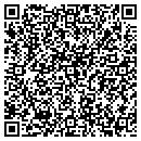 QR code with Carpet Store contacts