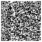 QR code with Citicapital Coml Lsg Corp contacts