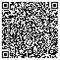 QR code with C Signs contacts