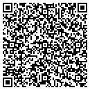 QR code with Carpet & Rug Institute contacts