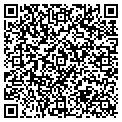 QR code with Jungle contacts