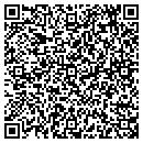 QR code with Premiere Nails contacts