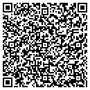 QR code with Psychic Visions contacts