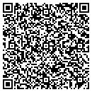 QR code with Professional Electric contacts