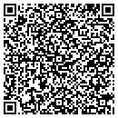 QR code with Pyramid Networks LLC contacts