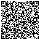 QR code with Project Dynamics Inc contacts