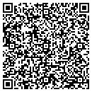 QR code with Pulaski Academy contacts