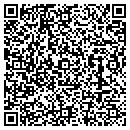 QR code with Public Works contacts