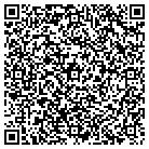 QR code with Pulaski District Attorney contacts
