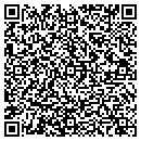 QR code with Carver Floor Covering contacts