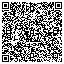 QR code with Public Storage 24636 contacts