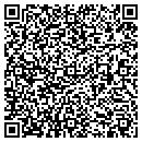 QR code with Premierone contacts