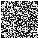 QR code with Protocol contacts
