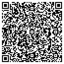 QR code with Protec Audio contacts