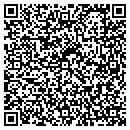 QR code with Camila C McLean AIA contacts