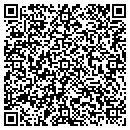 QR code with Precision Parts Plus contacts