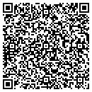 QR code with Professional Cleaner contacts