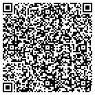 QR code with Premier Design Concepts contacts