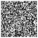 QR code with Premier Sales contacts