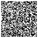 QR code with Property Improvements contacts
