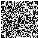 QR code with Professional Systems contacts